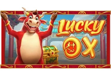 hotogel
